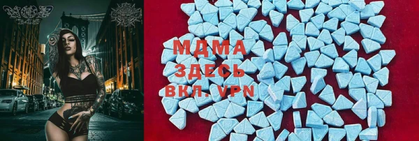 хмурый Абаза