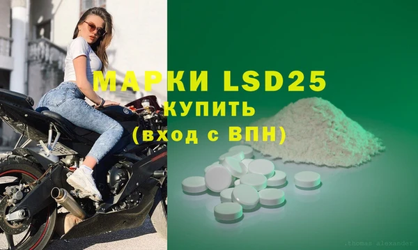 apvp Алексин