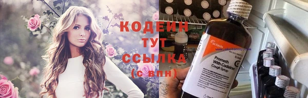 хмурый Абаза
