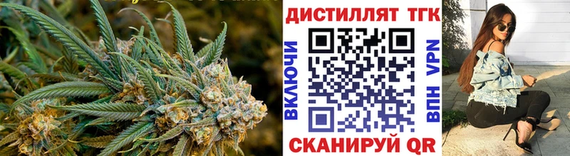Дистиллят ТГК Wax  Вытегра 
