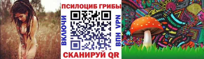 Галлюциногенные грибы MAGIC MUSHROOMS  Вытегра 