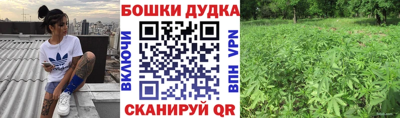 Марихуана White Widow Вытегра