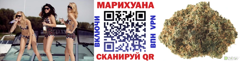 хочу наркоту  Вытегра  Бошки марихуана гибрид 